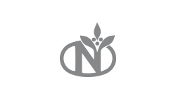 Logo Neumann Gruppe